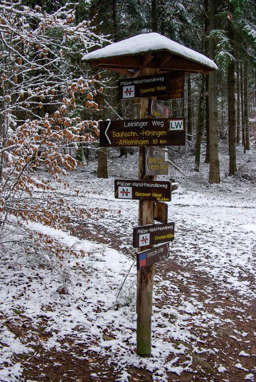 Naturfreundehaus Rahnenhof Carlsberg Kültér fotó